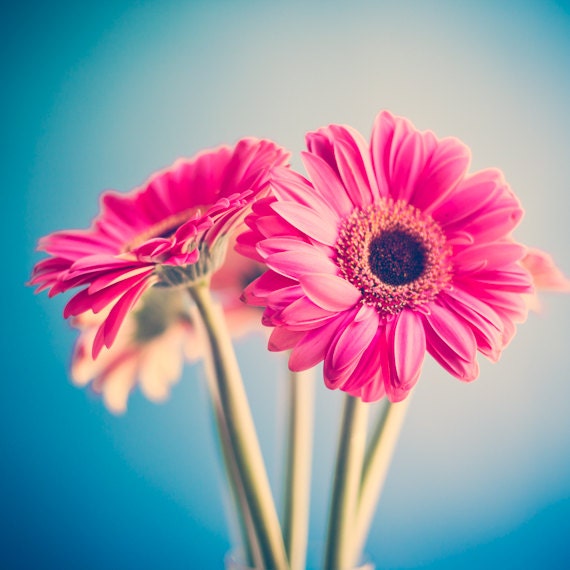 Spring photography, love photography, photography, mint, turquoise, red, pink, flower, floral print, home decor