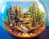 Bigfoot Forest - Deluxe Terrarium / Diorama