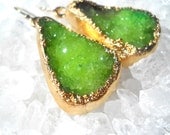 Green apple druzy earrings- Gold-dipped - Organic shaped - Crystal quartz