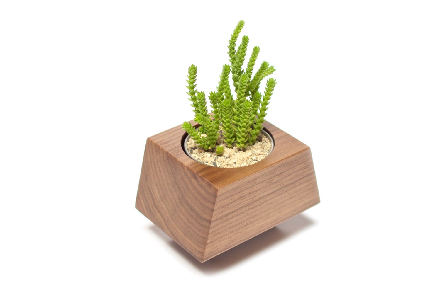 Boxcar Planters - single Walnut or Ash