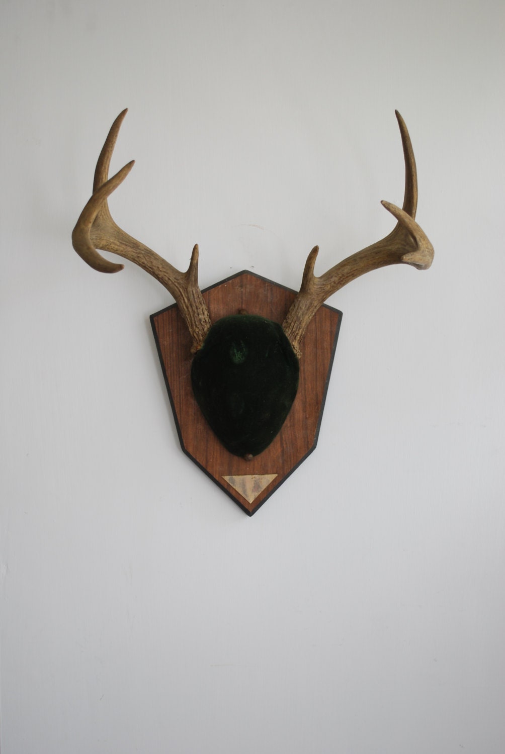 Vintage Deer Antler Mount - Taxidermy Bone Emerald Green Velvet 8 Point Whitetail Wall Decor Decoration Collectable