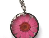 Pink Daisy Resin Pendant Necklace - Real daisy encased in resin with open back copper bezel, Pressed Flower Jewelry
