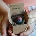 Custom Globe Adoption Announcements & Baby Shower Invitations - Open and Reveal