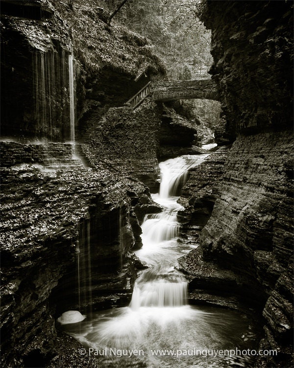 Waterfall Black and White, Watkins Glen photograph, vertical 8x10 print matted on white 11x14 mat.  Rainbow Falls, New York, NY gorge canyon
