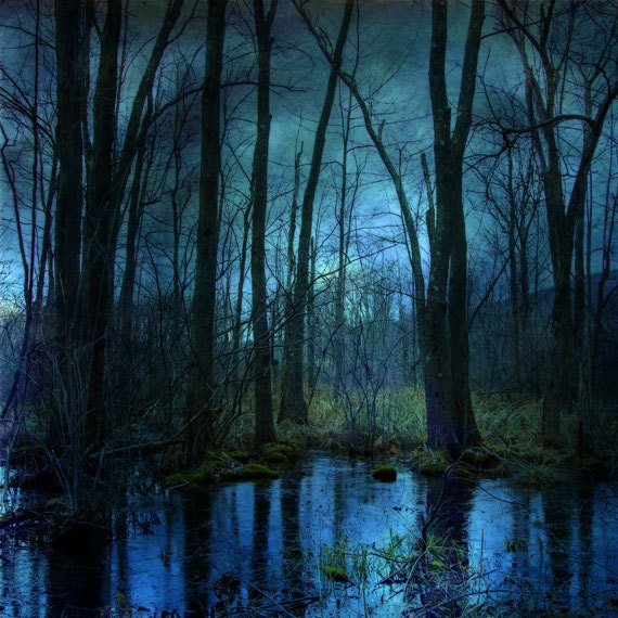 Surreal Landscape Photograph, Woodland Twilight, 16x16 Fine Art Photography Print, Decor, forest, trees, water, eerie, lake