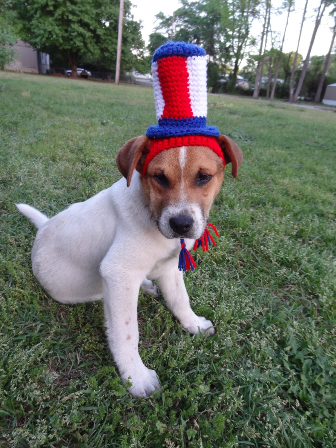 July 4th Dog Hat Dog Costume - Uncle Sam Costume Hat - The  Uncle Sam's Puppy Top Hat
