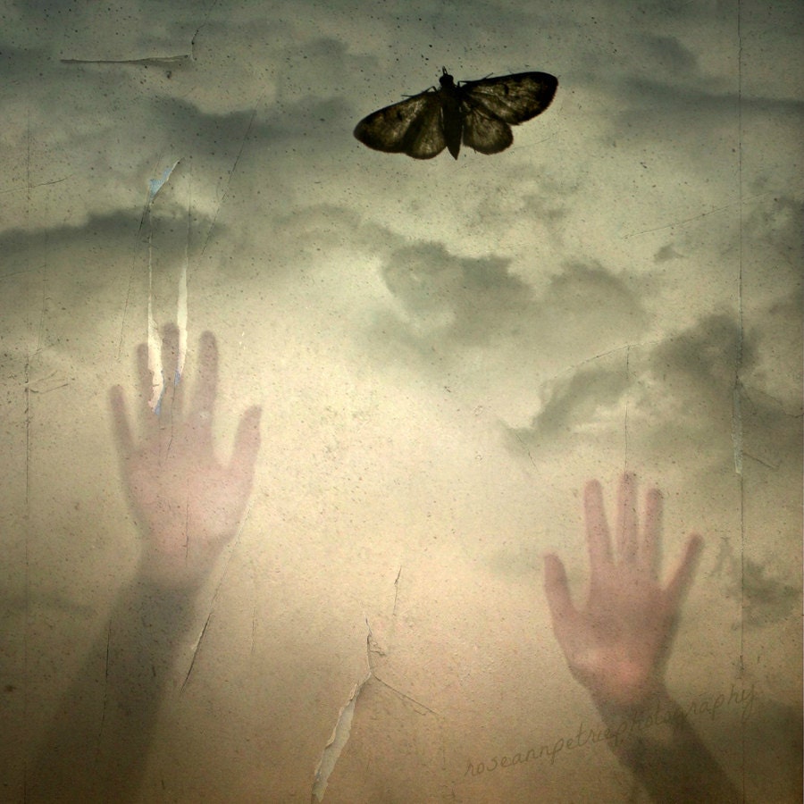 Within Reach..Moth..Hands..Zen..Surreal..Spiritual Healing..12x12"..home decor, office decor..fine art photography - FrameOnYou