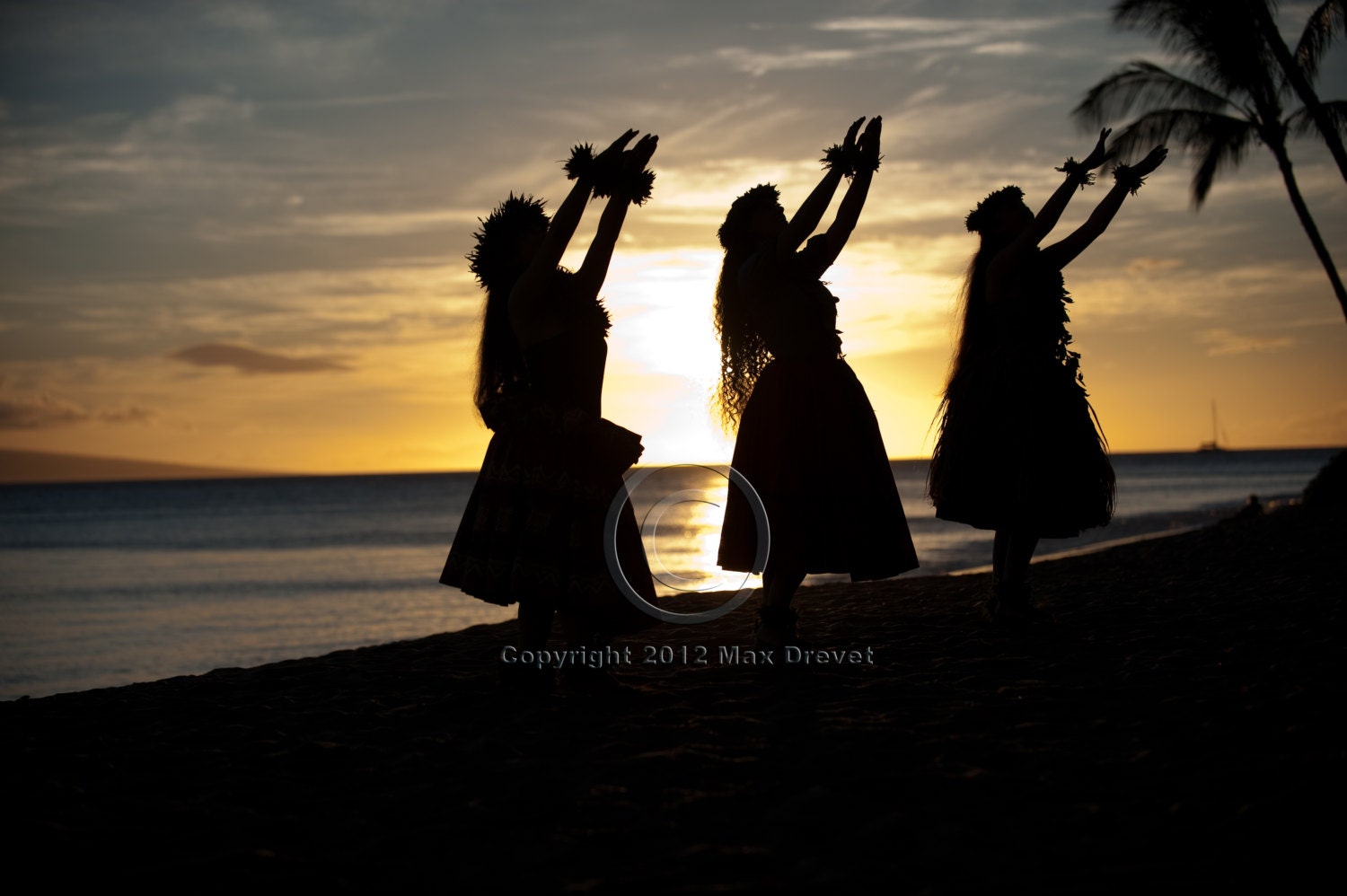 Hawaiian Art, Hawaii Print Beach Luau Giclee Photography