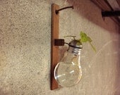Recycled wall hanging light bulb vase wooden stand upcycled airplant unique