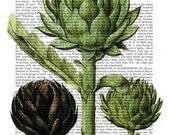 VintageGlobe Artichoke Print Digital Art Illustration Mixed Media Kitchen Print, Food Art wall art wall decor Wall Hanging
