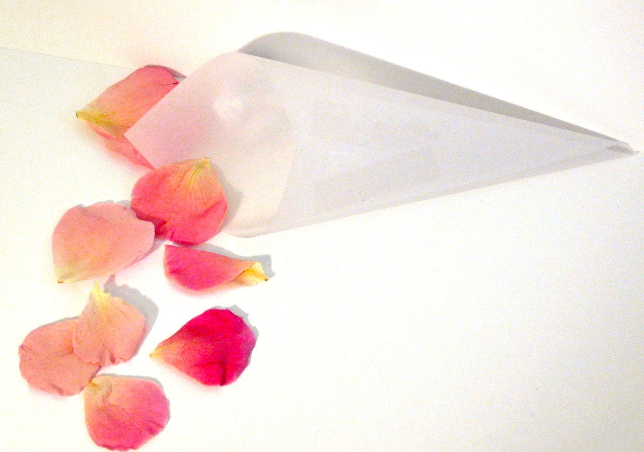 Frosted Vellum Cones - un...