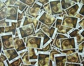 Australian Elves & Fairies Stamps x 10