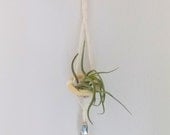 18 1/2" Modern Macrame Knotted Air Plant Hanger with Silver Facted Geometric Beads by Himo Art, Simple Home Decor