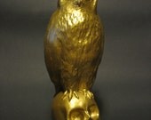 Handmade owl on skull sculptures
