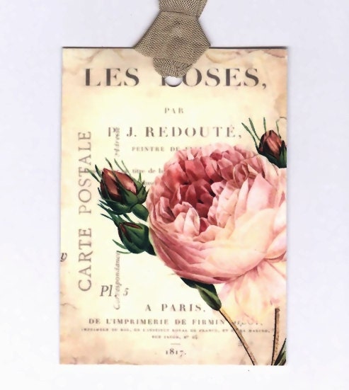 Rose Tags - Les Roses - Pink Rose - Summer - Garden - by Bluebird Lane