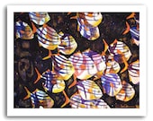 Fish Art 11x14" Print "Spirit Fish" Signed and Numbered