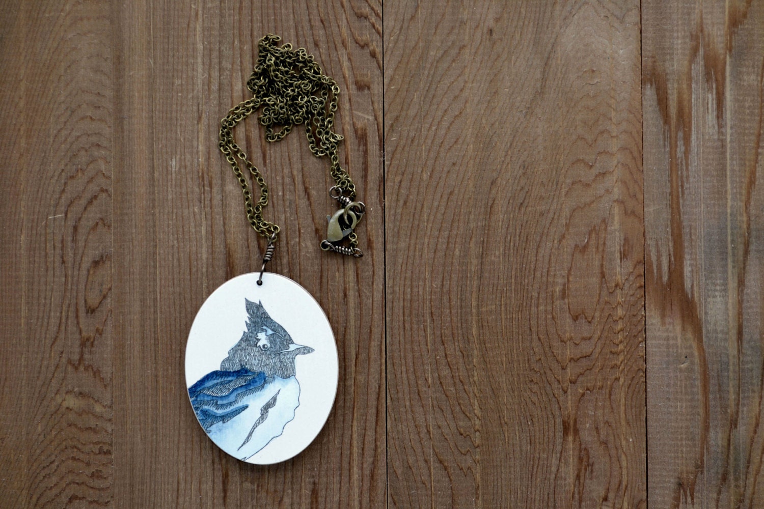 Stellar Jay Necklace in Blue and Graphite - Bird Artwork Pendant