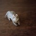 Wolf totem