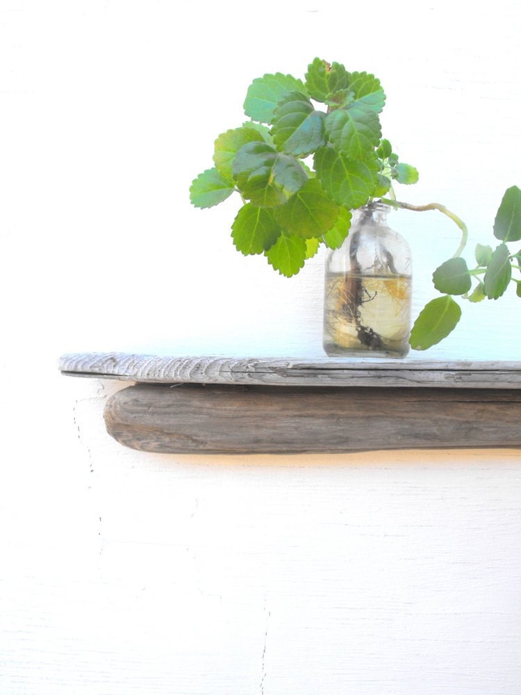 Driftwood Trinket Shelf No. 40