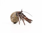 Hermit Crab No.3 Limited Edition Bronze