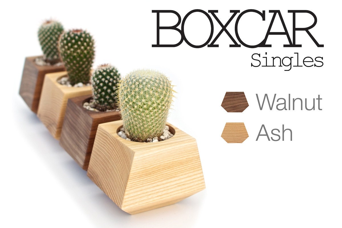 Boxcar Planters - single Walnut or Ash
