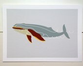 Humpback Whale