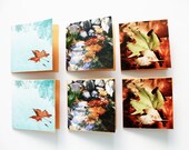 Blank Note Cards - Blank 2x2 Mini Cards, Handmade Photography Note Cards, Gift Tag Cards, Thank You Cards - Autumn Leaves, Set of 6