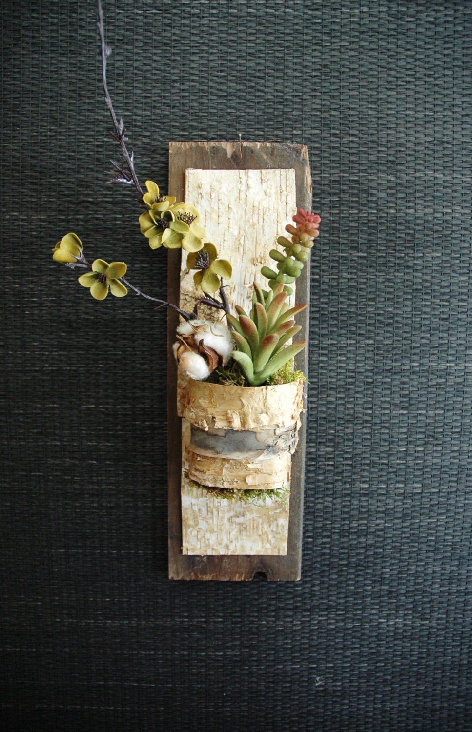 Natural Barn Wood with Bark, Succulents and Cotton, Wall Hanging