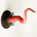 Octopus Tentacle wall sculpture, Small, with Splash/ Nautical Art/ Faux Taxidermy/ Octopus/ Creepy Cute
