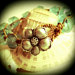 serendipityblu