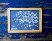 Blue Chalkboard Diagram Human Anatomy THE BRAIN Fun Educational Geekery