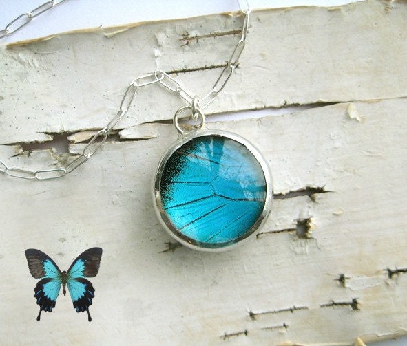 Aqua Blue butterfly wing necklace