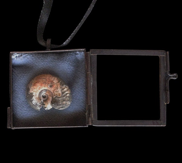 Ammonite Reliquary