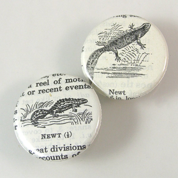 Newt Pinback Button Set