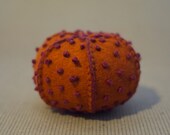 Plush Urchin Shell