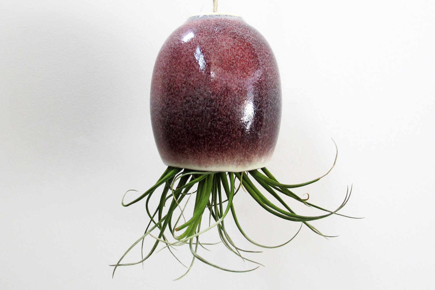 LARGE hanging air plant pod planter vase - Beautiful Snow Plum
