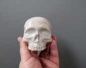 Human Skull ceramic halloween decoration in a stunning crackle glaze for display