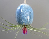 Planter - hanging air plant pod vase - Stunning Ice Blue