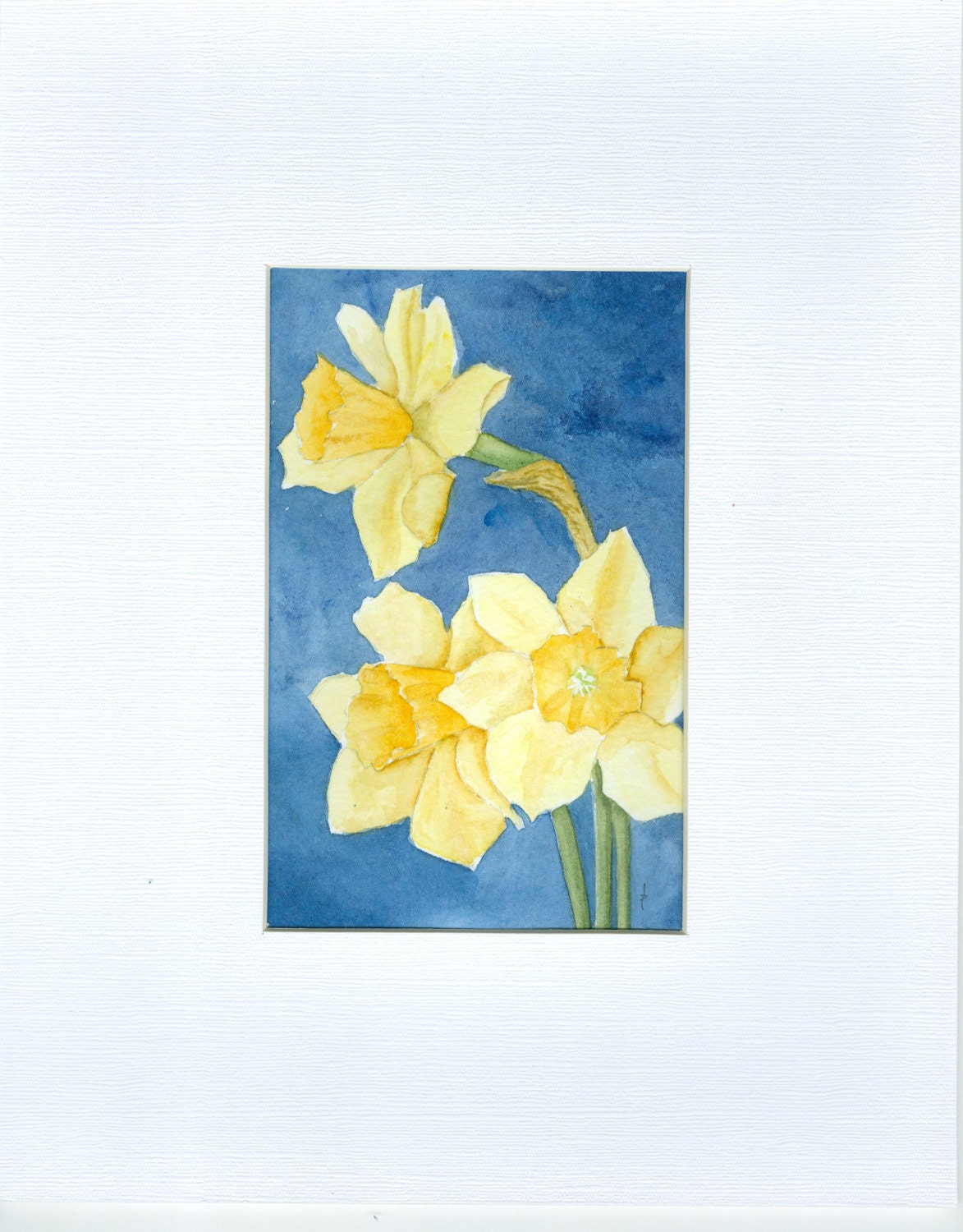 floral SFA watercolor DAFFODILS original matted