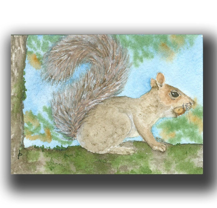 ACEO watercolor original SQUIRREL acorn pacific nw life