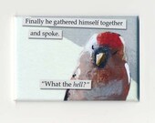 Finally - bird MAGNET