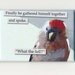 Finally - bird MAGNET
