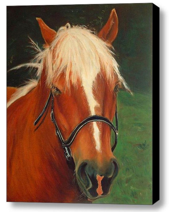 Horse Portrait  - Equine Canvas Print 18x24