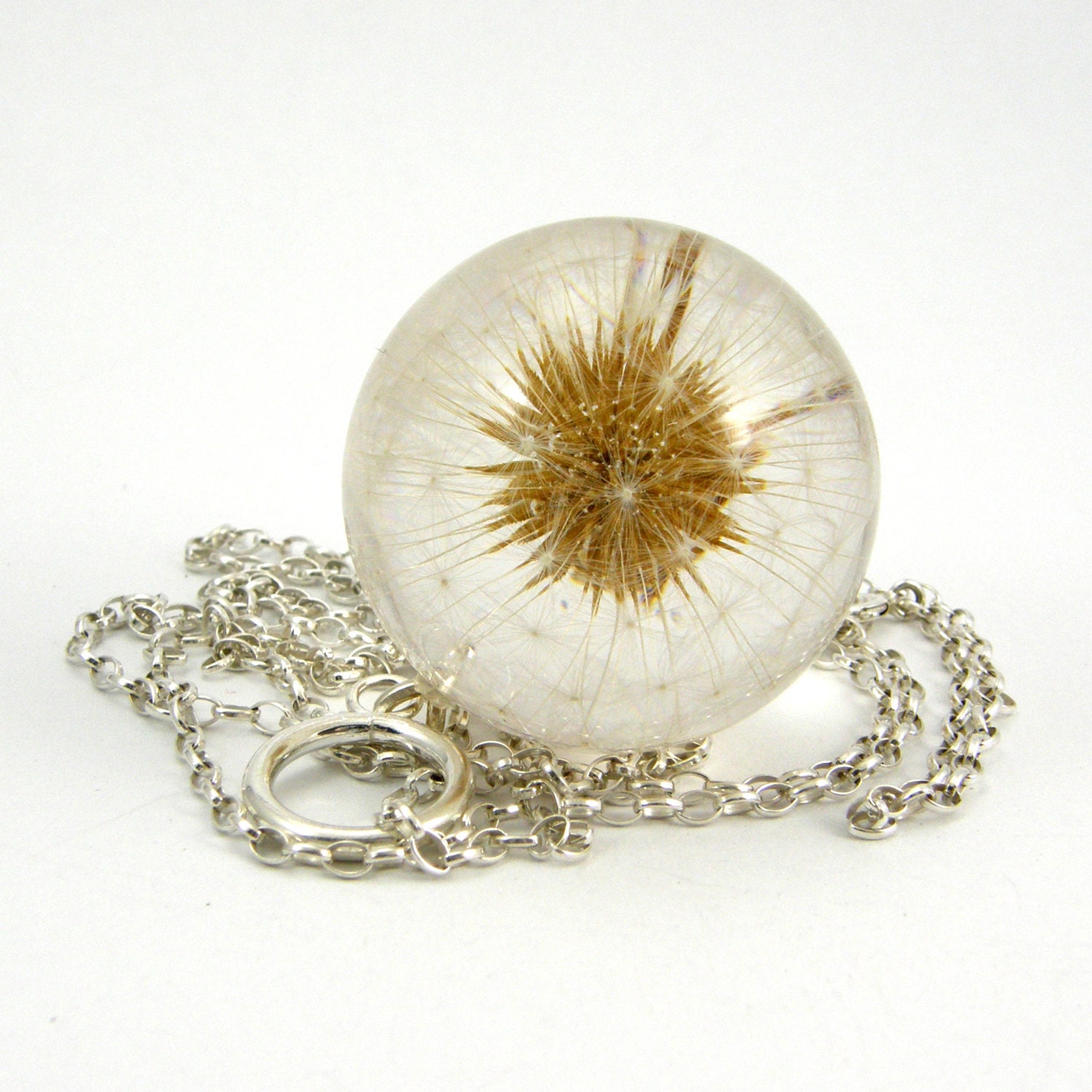 Dandelion Season Has Started, Large Resin Round with Full Dandelion and Sterling Silver Chain, Dandelion Pendant