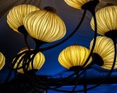 Lamps, Baden Baden, Germany, 8x10 matted photo