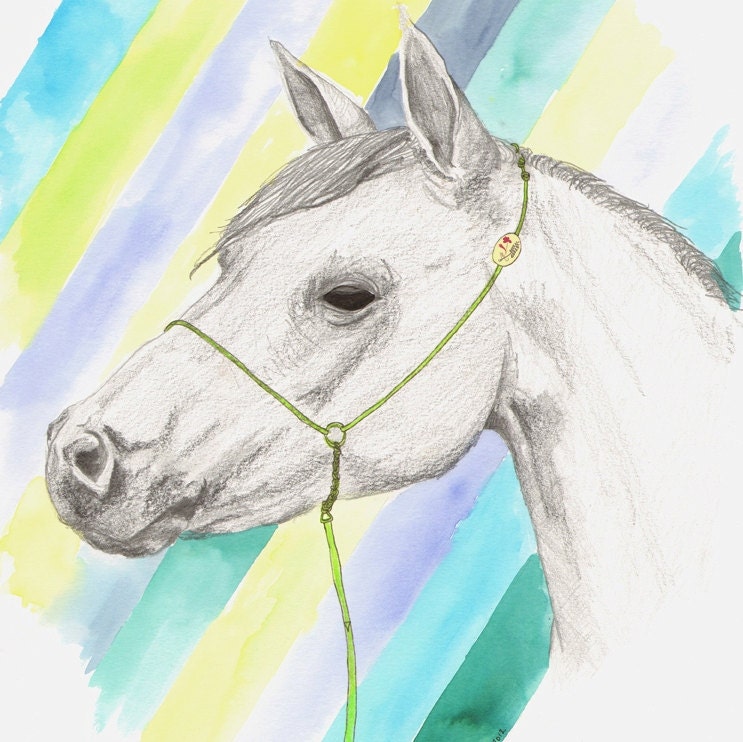 Horse with blue and yellow stripes original illustration