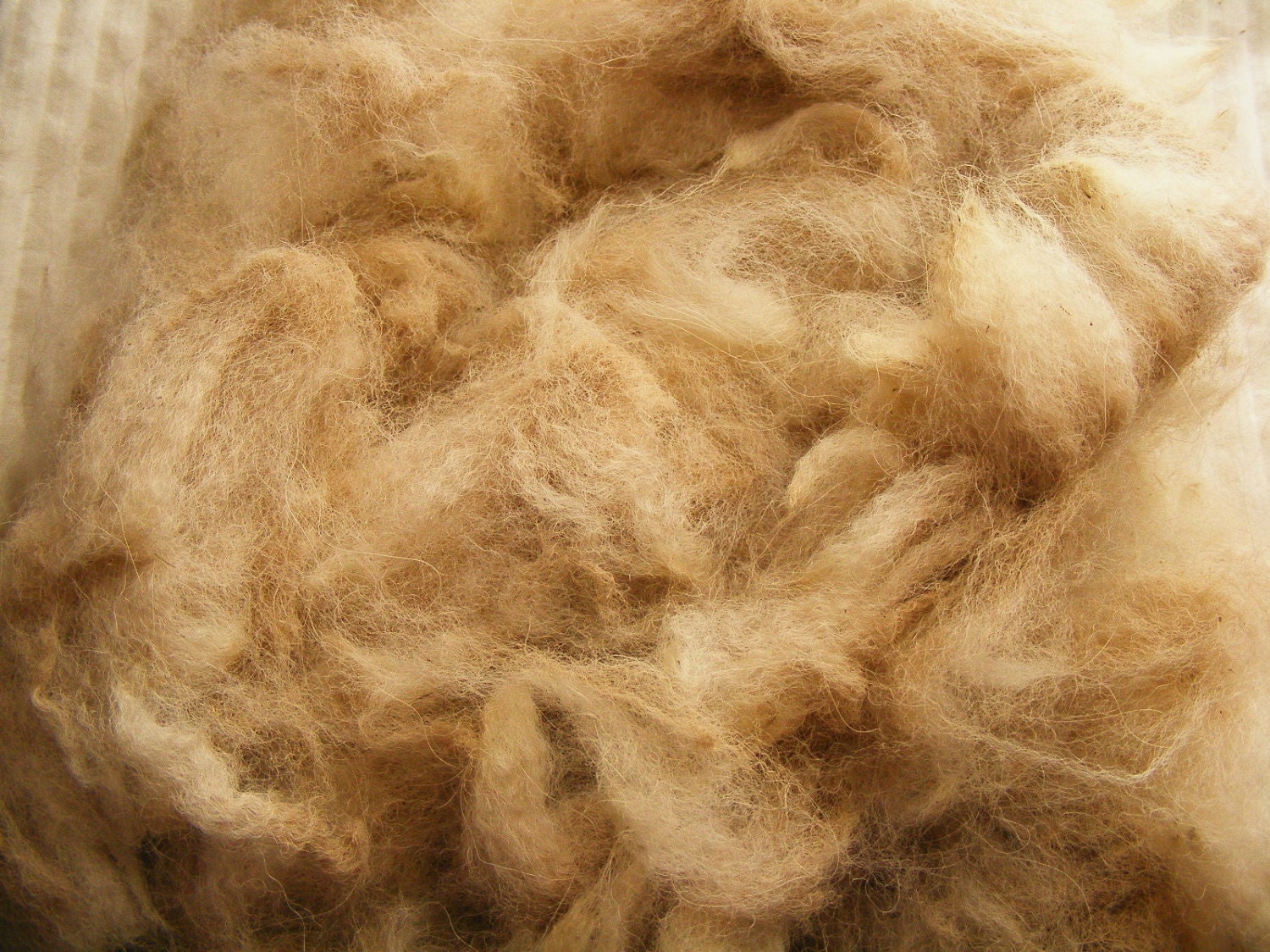 White Alpaca Fleece Fiber Spinning Destash no.5