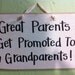 Great Parents get promoted to grandparents sign wood
