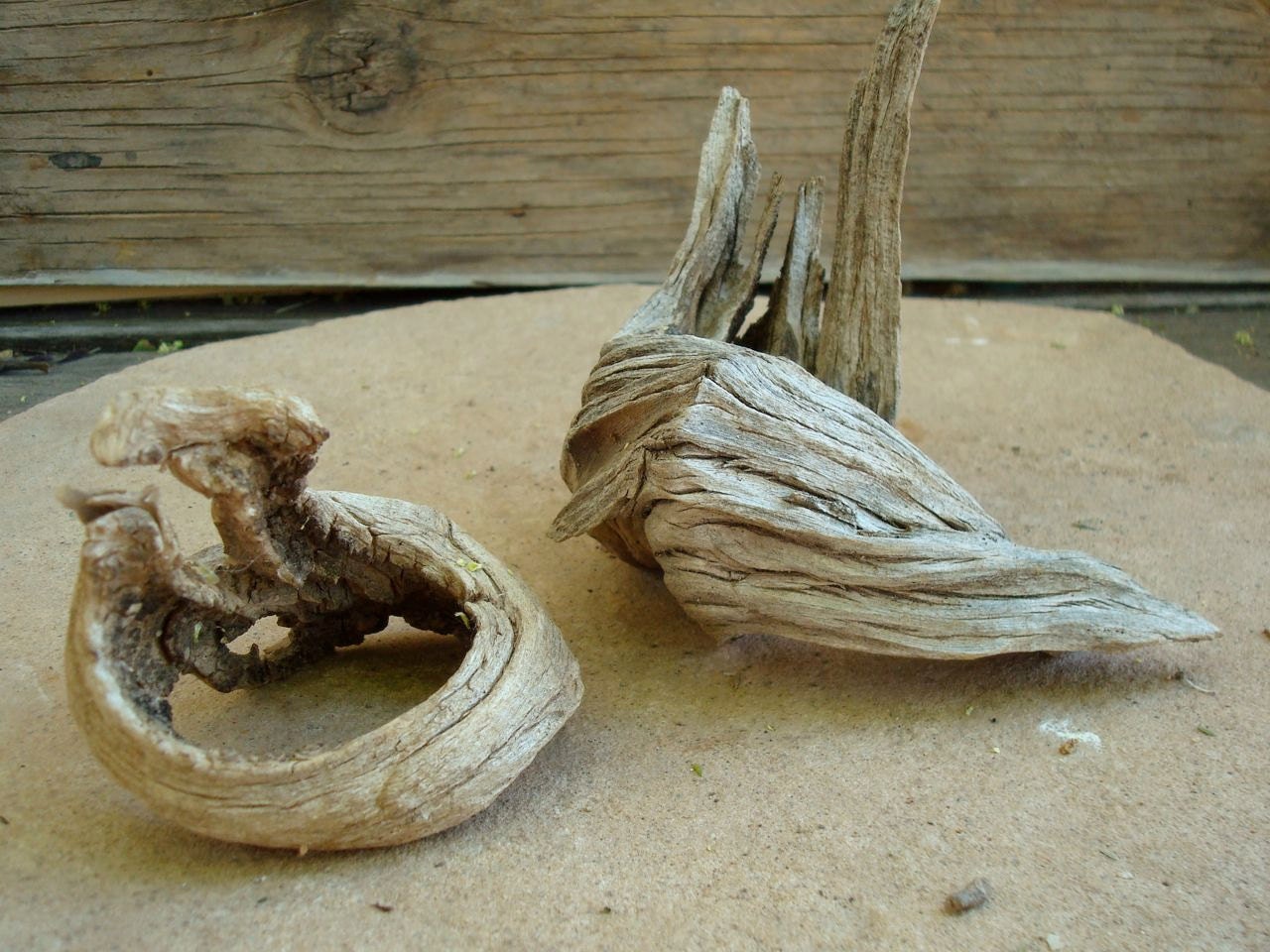 Desert Wood Root Pieces for Crafts Assemblage Mixed Media Supplies Natural Organic Found Object