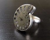 Ammonite Fossil Shell Ring set in Sterling Silver